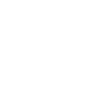 胃カメラ検査（上部内視鏡検査）